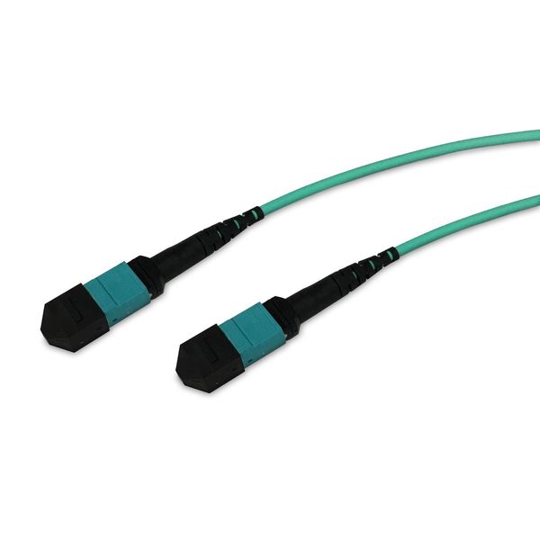 Enet Enet Mtp /Mpo-Female To Mtp /Mpo-Female Aqua Multimode Om4 MTPF2XO-OM4-20M-ENC